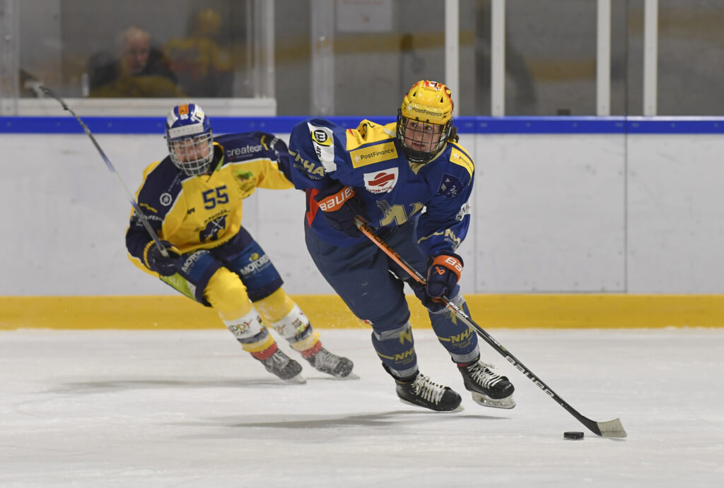 Match NHA vs Langenthal Ice Hockey