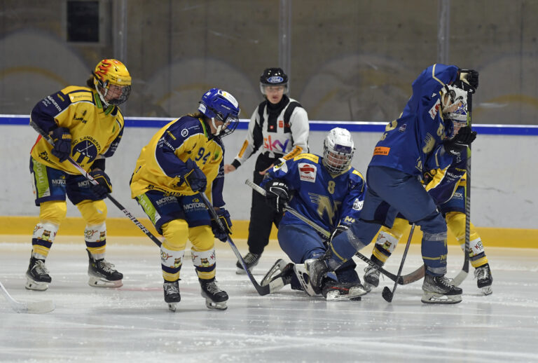 Match NHA vs Langenthal Ice Hockey