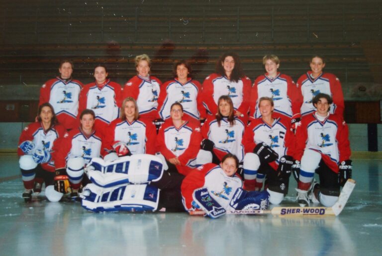 Hirondelles saison 1999/2000