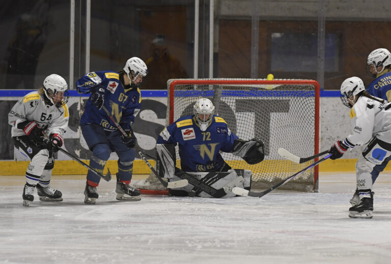 Match PFWL NHA - Fribourg-Gottéron 15.02.2025
