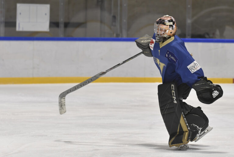 Match SWHL C NHA - HC Sierre 15.02.2025