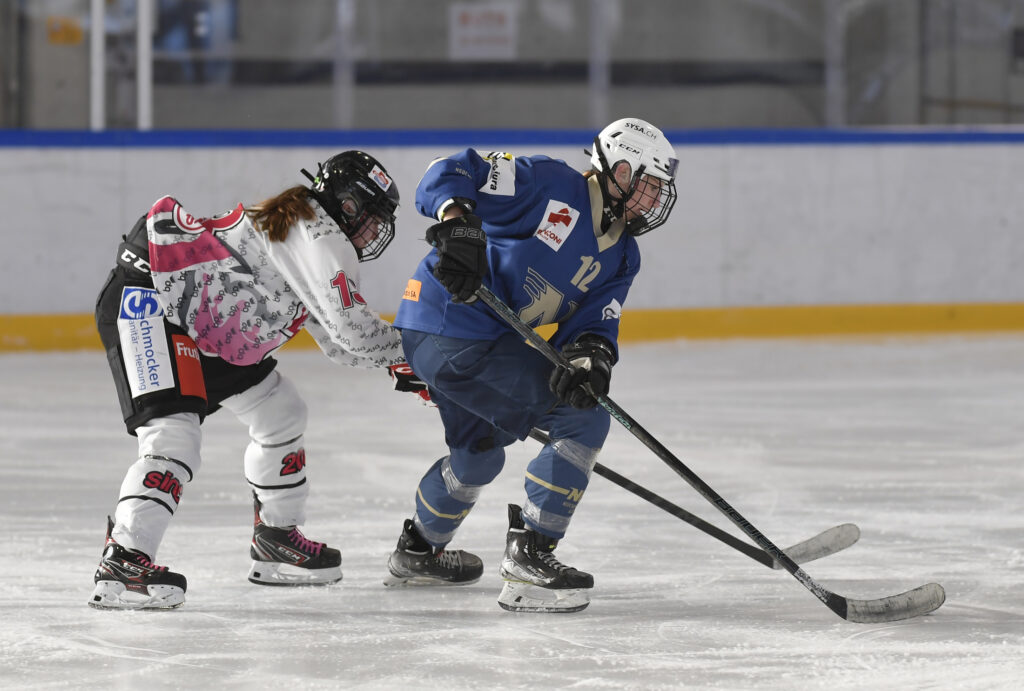 Match NHA SWHL C - Dragon Queens 25.01.26
