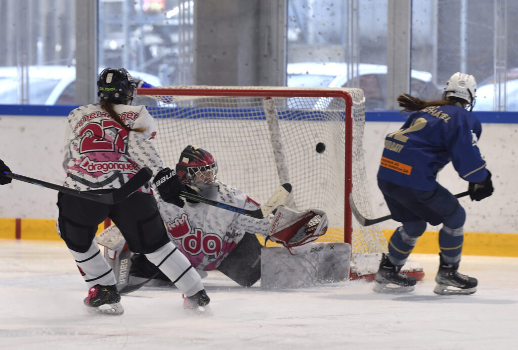 Match NHA SWHL C - Dragon Queens 25.01.26