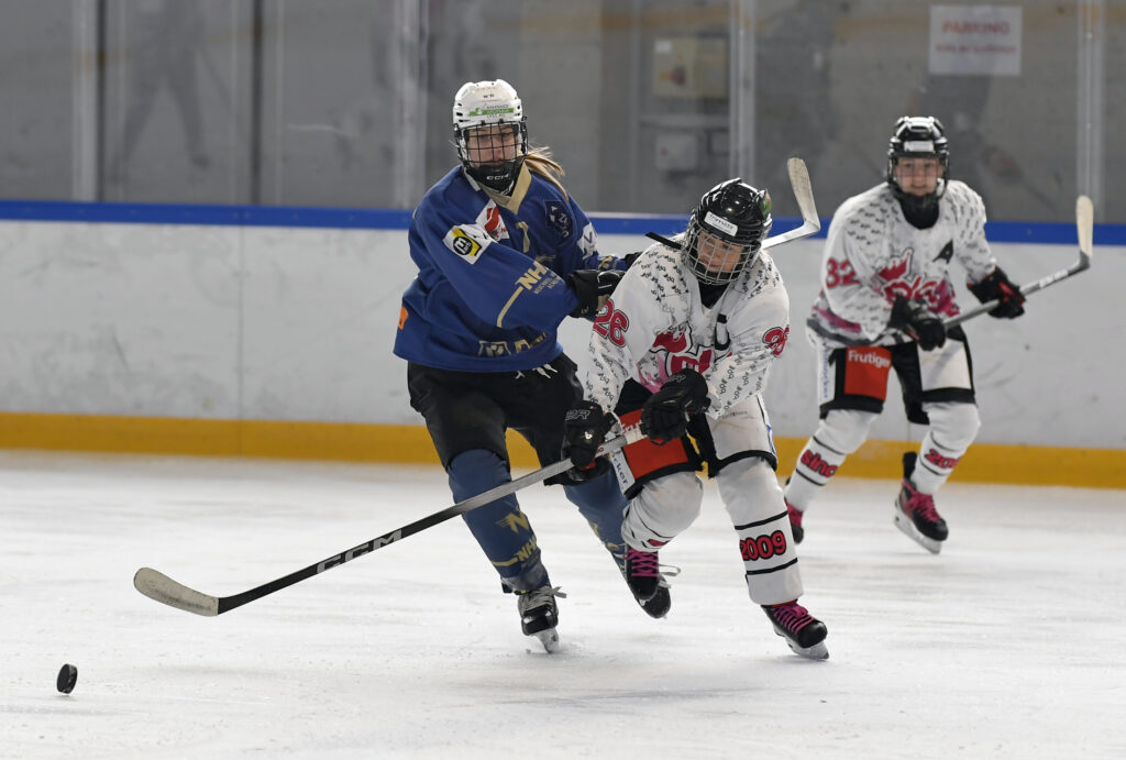 Match NHA SWHL C - Dragon Queens 25.01.26