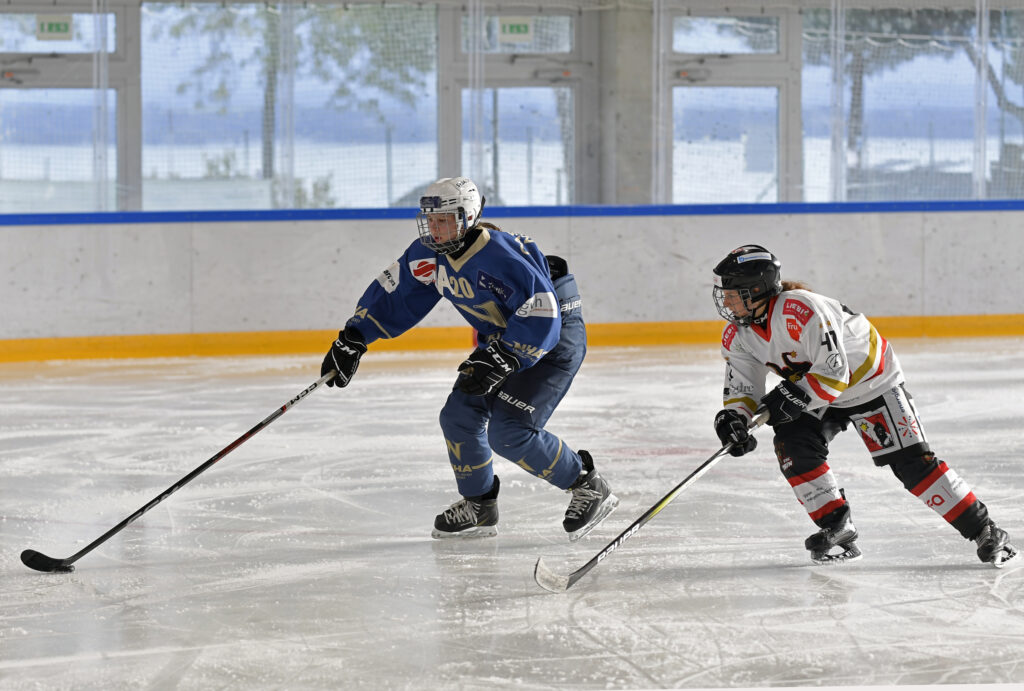 Match SWHL D NHA - EHC Thun II 05.10.2025